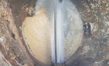 포토 갤러리